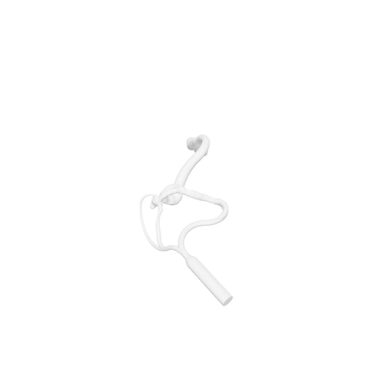 Acomm Aneurysm Model - AN198