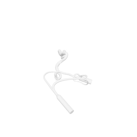 Acute Ischemic Stroke Model - ASIST001