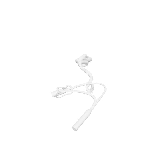 Cerebral Stroke Model - ASIST004