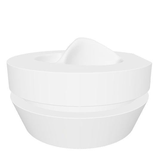 Aortic Valve Model - AV001