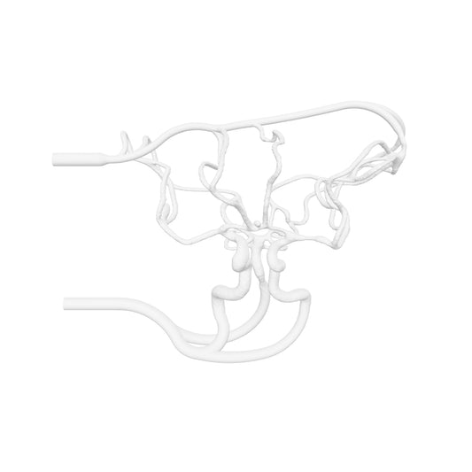 Circle of Willis Model - COW002