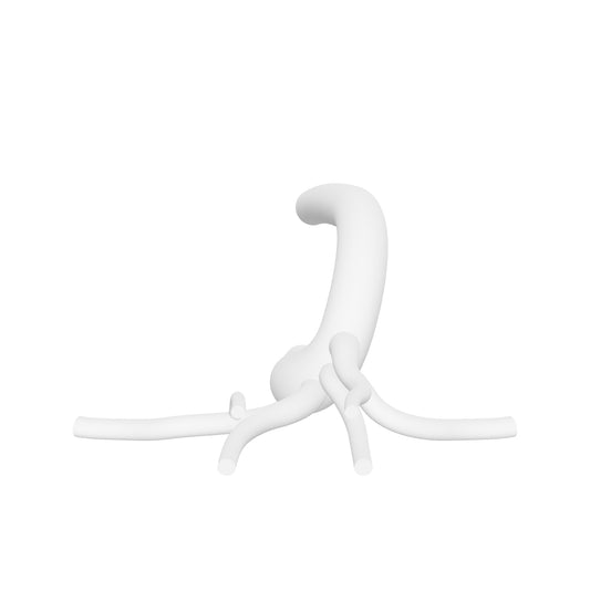 Thoracic Aorta Type-I Arch Model - TA007