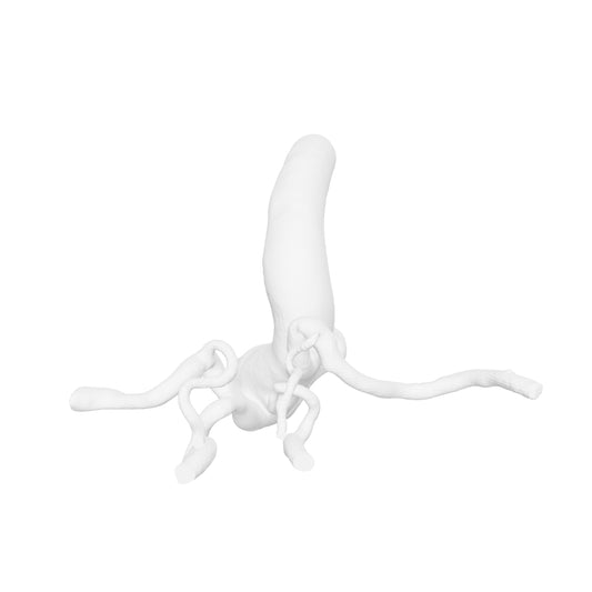 Thoracic Aorta Model - TA012