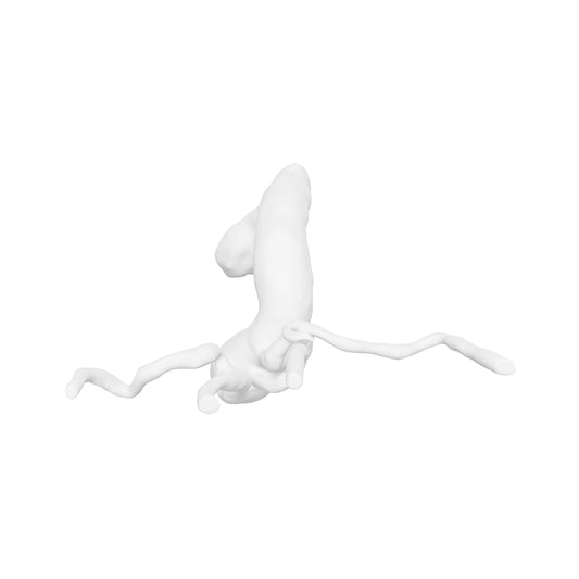 Thoracic Aorta Model - TA013