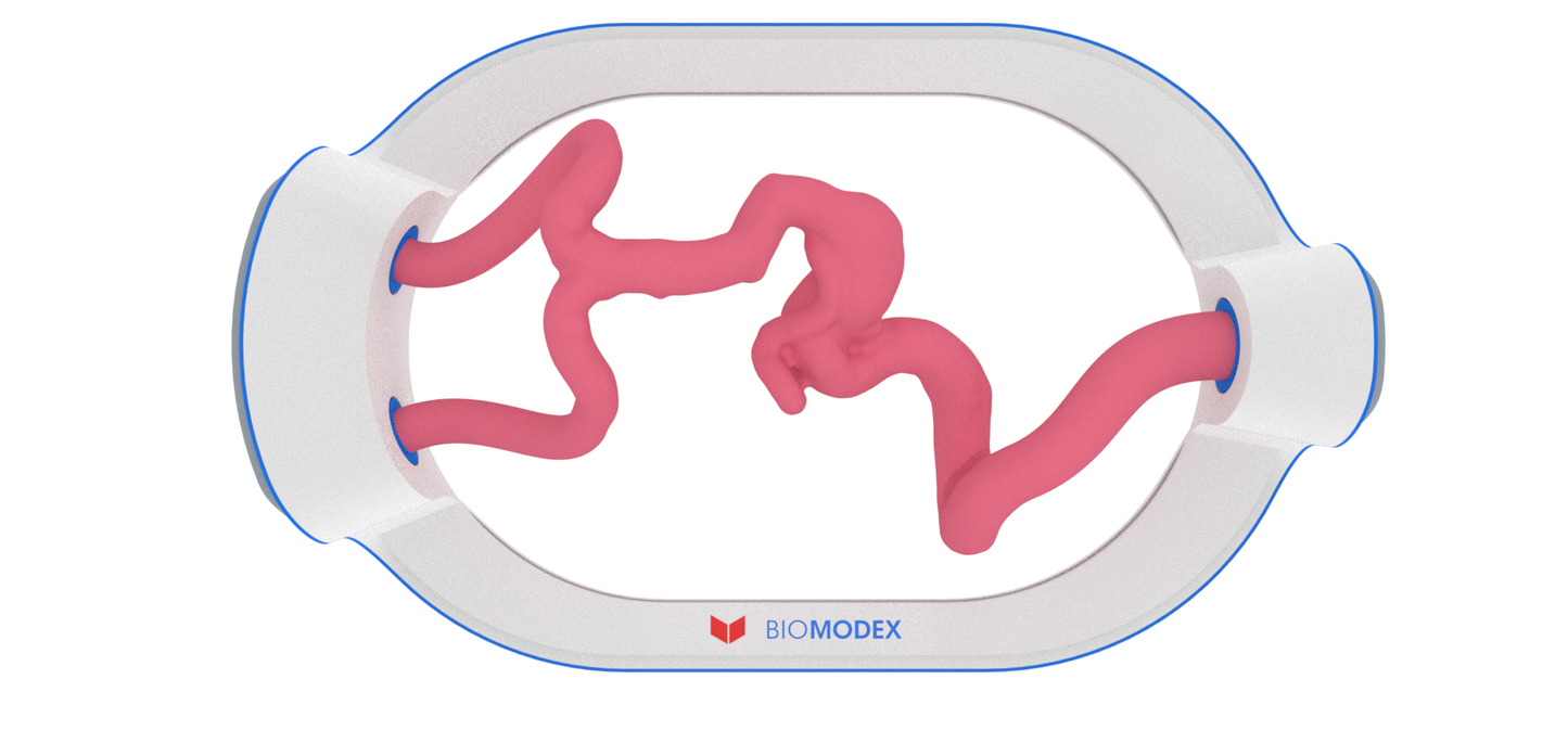 EVIAS -HMS -Cartridge - #70