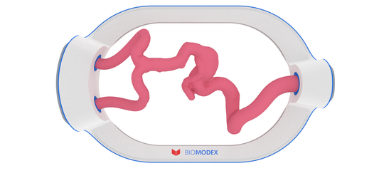 EVIAS -HMS -Cartridge - #70