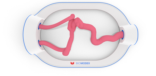 EVIAS -HMS -Cartridge - #75