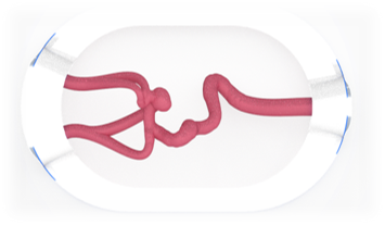 EVIAS -HMS -Cartridge - #0638