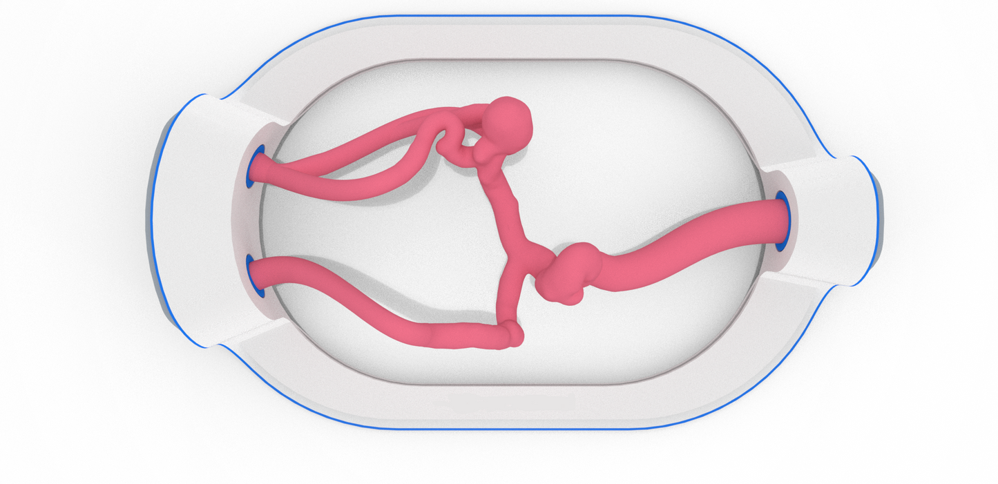 EVIAS -HMS -Cartridge - #306