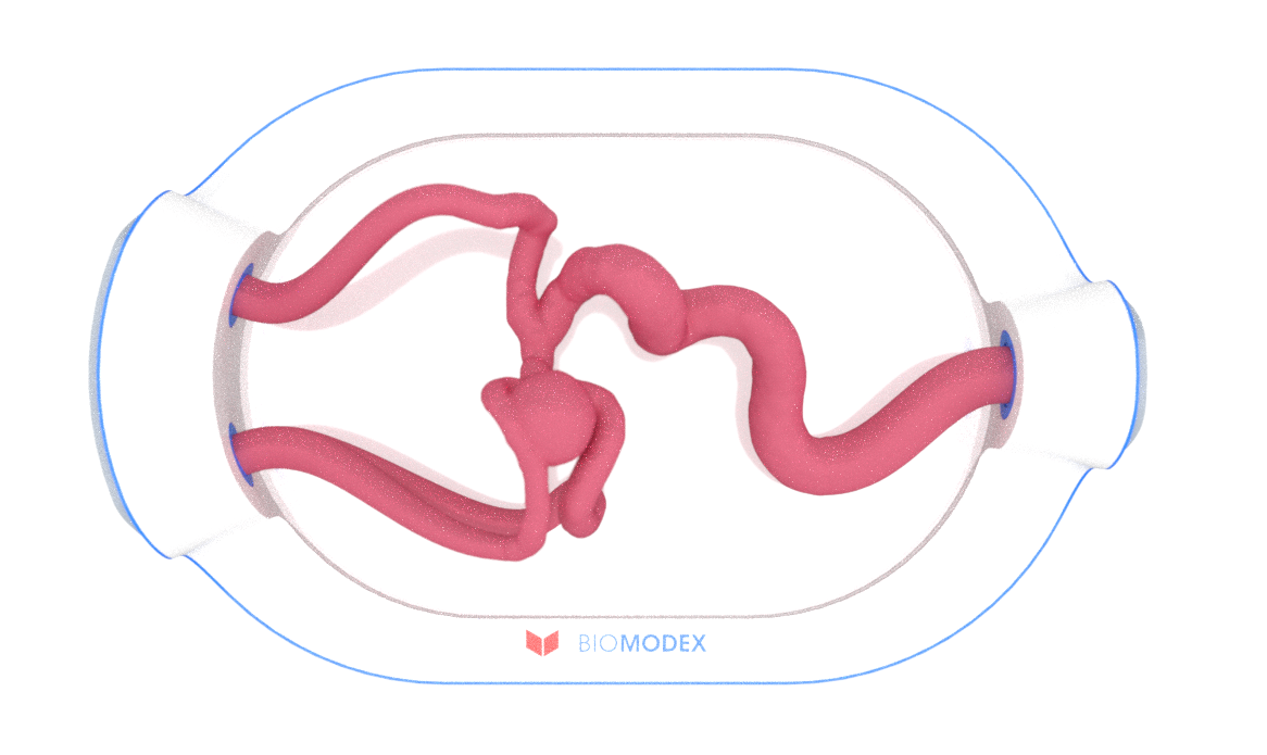 EVIAS -HMS -Cartridge - #0682