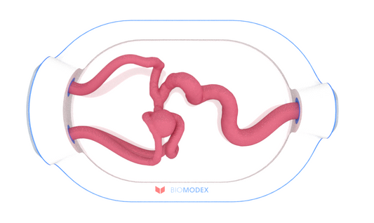 EVIAS -HMS -Cartridge - #0682