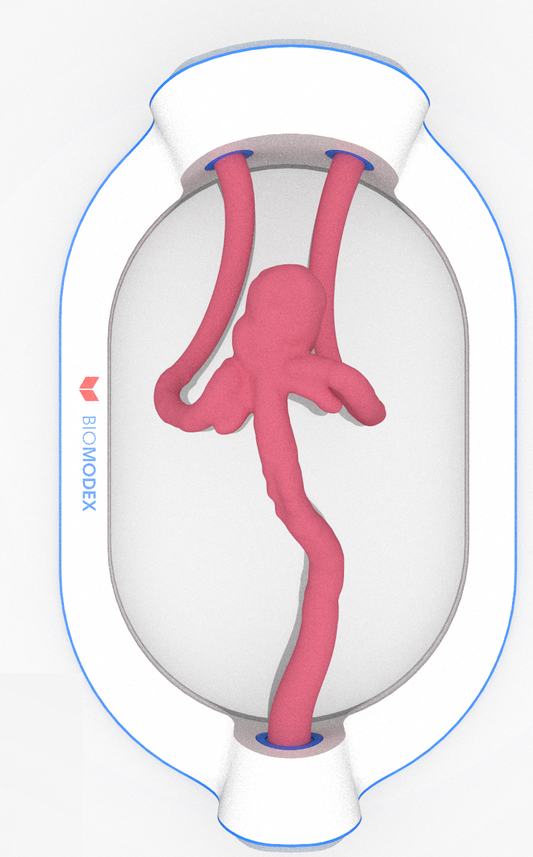 EVIAS -HMS -Cartridge - #0468