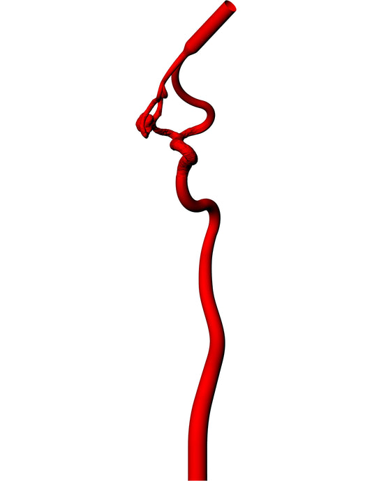 Pcomm Aneurysm Model - AN106