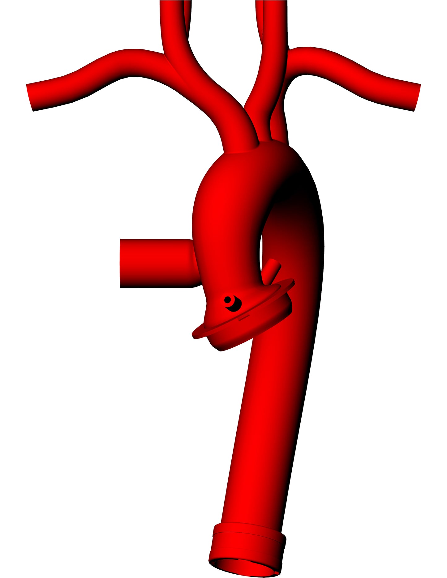 Thoracic Aorta Type-I Arch Model - TA010